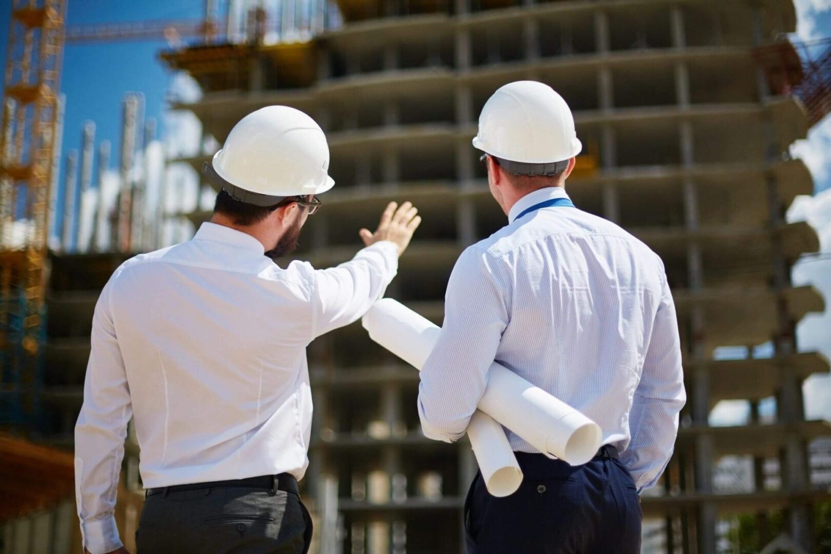 Backs of architects Backs of architects